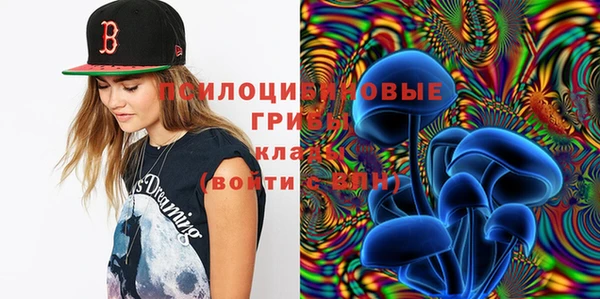 ПСИЛОЦИБИНОВЫЕ ГРИБЫ Волоколамск
