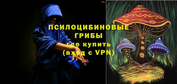 ПСИЛОЦИБИНОВЫЕ ГРИБЫ Волоколамск
