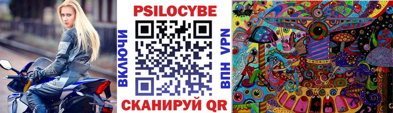 Псилоцибиновые грибы мицелий  kraken вход  Карасук 